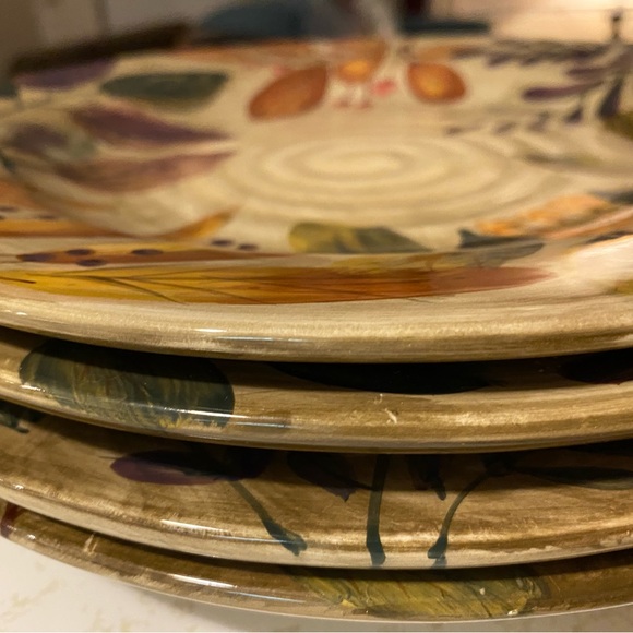 4  11 in.Dinner Plates by Home Trends Pattern:Shadowwood - Picture 2 of 10